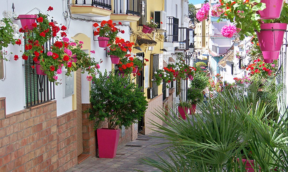 R4588996-Apartment-For-Sale-Estepona-Ground-Floor-Apartment-2-Beds-83-Built-17