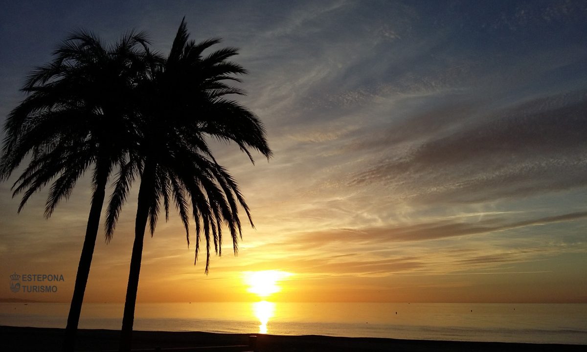 R4588996-Apartment-For-Sale-Estepona-Ground-Floor-Apartment-2-Beds-83-Built-18