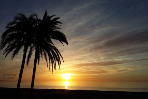 R4588996-Apartment-For-Sale-Estepona-Ground-Floor-Apartment-2-Beds-83-Built-18