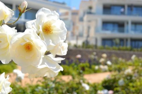 R4897891-Apartment-For-Sale-Fuengirola-Ground-Floor-Apartment-2-Beds-86-Built-45