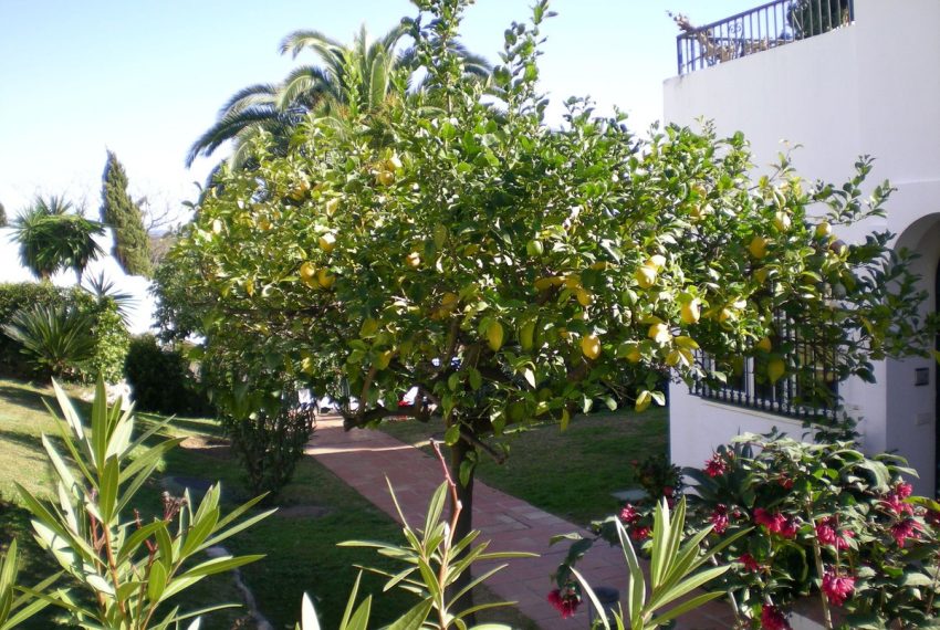 R4568227-Townhouse-For-Sale-Nueva-Andalucia-Terraced-4-Beds-142-Built-5