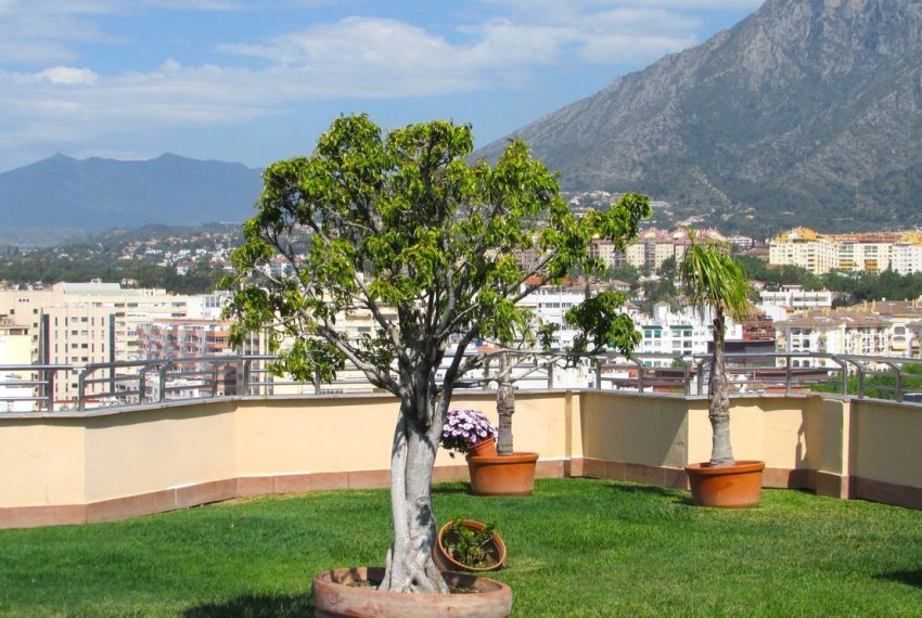 R4687945-Apartment-For-Sale-Marbella-Middle-Floor-3-Beds-139-Built-3