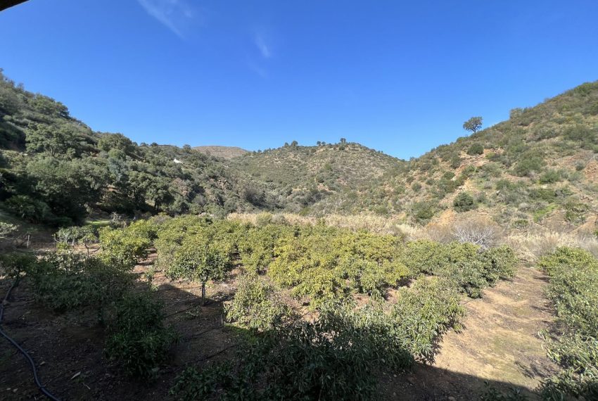 R4246165-Villa-For-Sale-La-Mairena-Finca-4-Beds-1092-Built-15