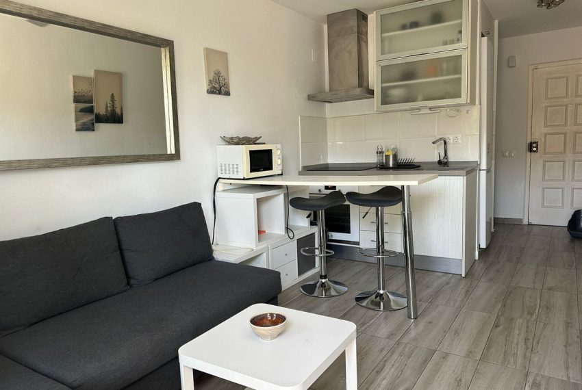 R4828318-Apartment-For-Sale-Marbella-Penthouse-1-Beds-43-Built-1