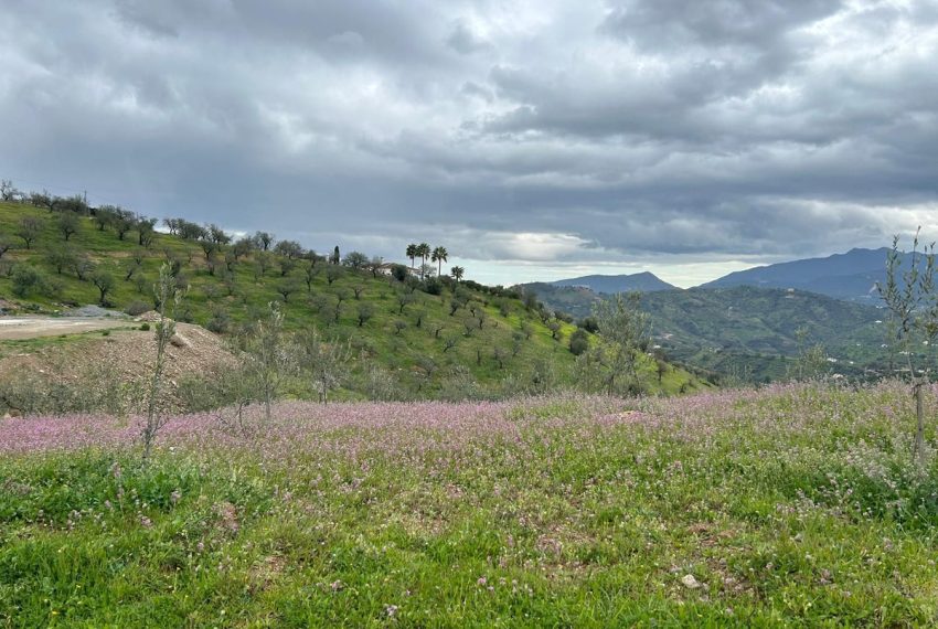 R4991626-Villa-For-Sale-Guaro-Finca-4-Beds-150-Built-14