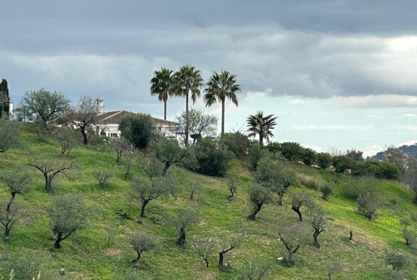 R4991626-Villa-For-Sale-Guaro-Finca-4-Beds-150-Built-4