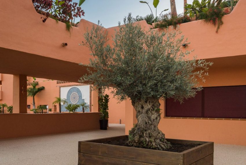 R4991704-Apartment-For-Sale-El-Paraiso-Penthouse-2-Beds-92-Built-3