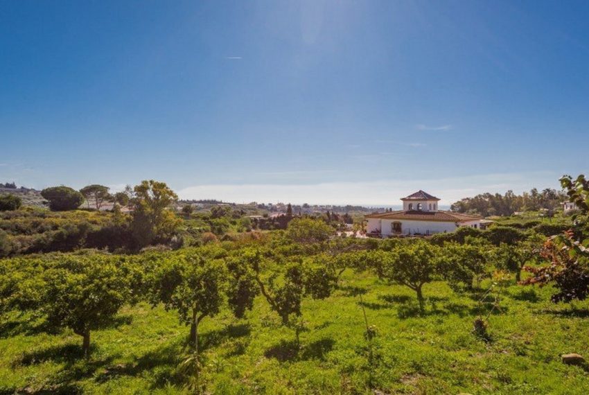 R3302554-Villa-For-Sale-Estepona-Detached-3-Beds-265-Built-7