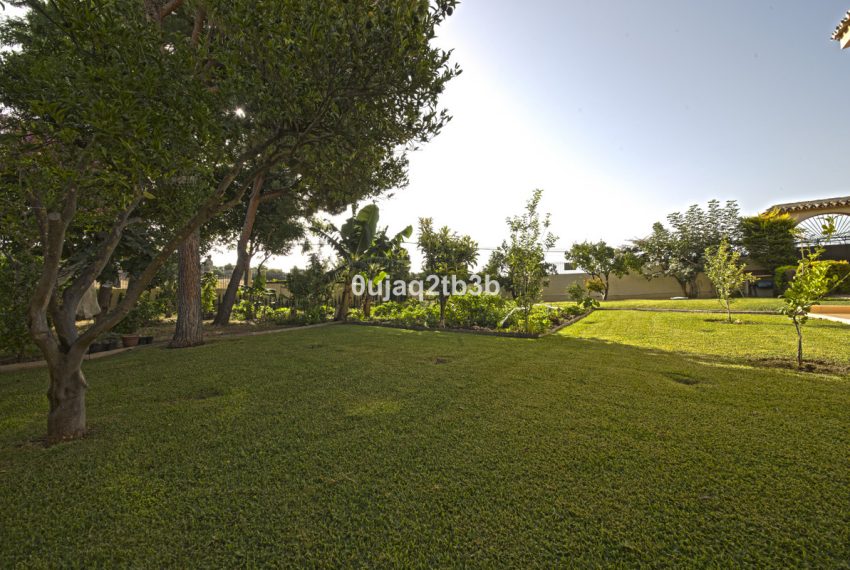 R3967933-Villa-For-Sale-New-Golden-Mile-Detached-5-Beds-528-Built-12