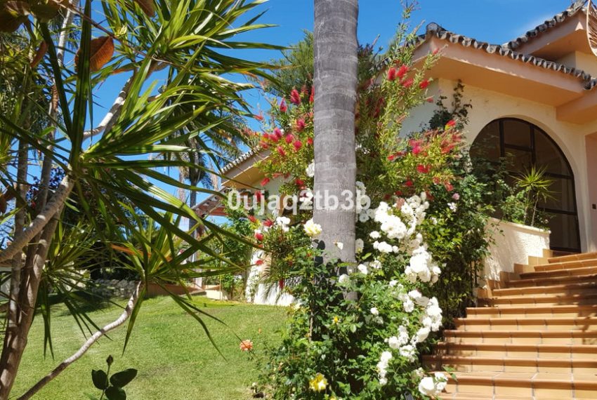 R3967933-Villa-For-Sale-New-Golden-Mile-Detached-5-Beds-528-Built-17