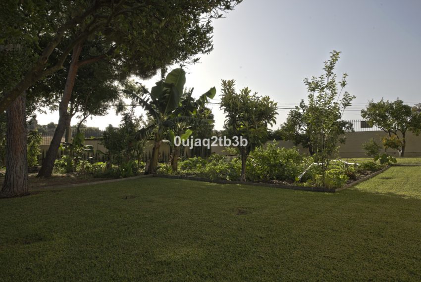 R3967933-Villa-For-Sale-New-Golden-Mile-Detached-5-Beds-528-Built-7