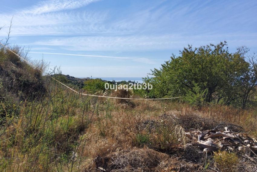 R4354561-Villa-For-Sale-Mijas-Finca-6-Beds-543-Built-14