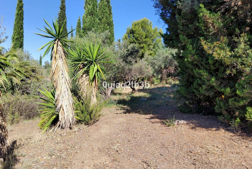 R4354561-Villa-For-Sale-Mijas-Finca-6-Beds-543-Built-15