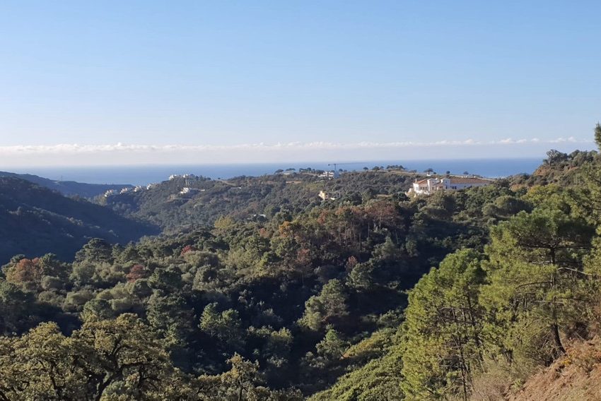 R4719142-Villa-For-Sale-Benahavis-Detached-5-Beds-545-Built-5