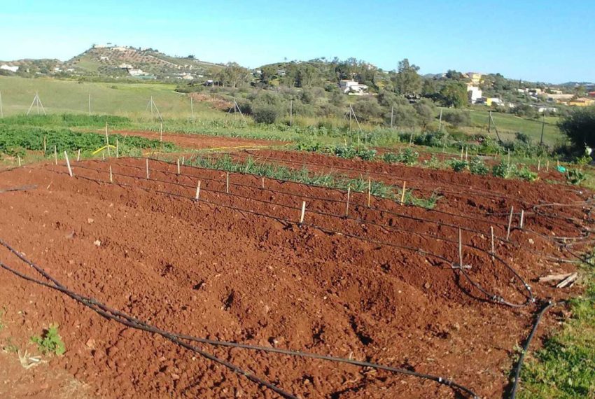 R4887247-Villa-For-Sale-Mijas-Costa-Finca-2-Beds-83-Built-18