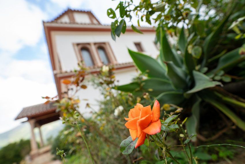 R4894690-Villa-For-Sale-Mijas-Detached-5-Beds-690-Built-9