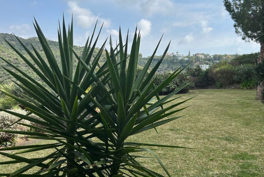 R4965787-Apartment-For-Sale-La-Quinta-Ground-Floor-3-Beds-146-Built-16