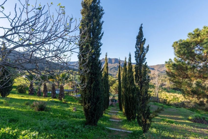 R4967011-Villa-For-Sale-Mijas-Costa-Detached-4-Beds-300-Built-11