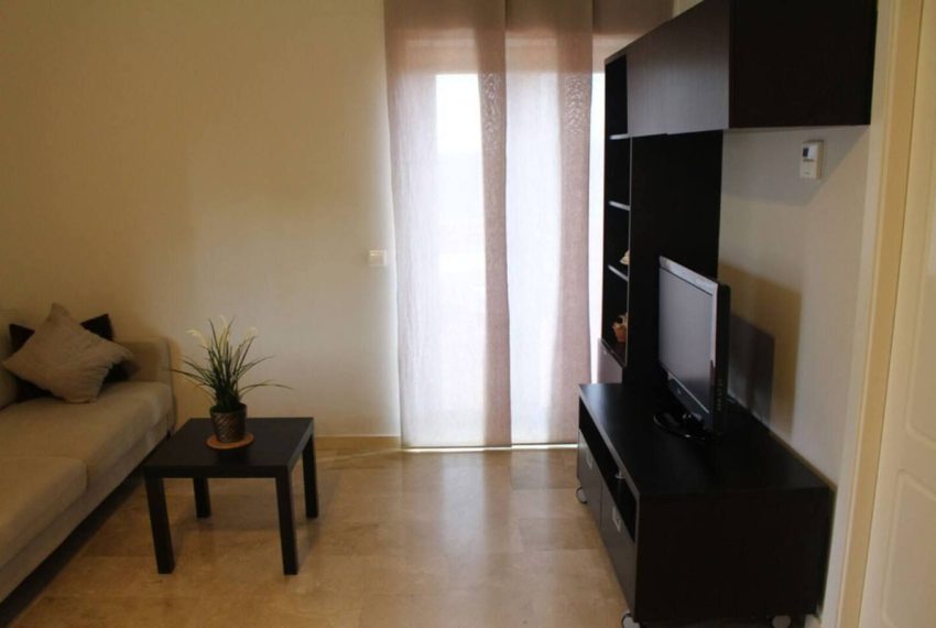 R4980898-Apartment-For-Sale-Elviria-Penthouse-1-Beds-41-Built-10