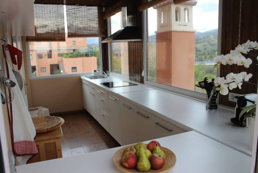 R4980898-Apartment-For-Sale-Elviria-Penthouse-1-Beds-41-Built-3