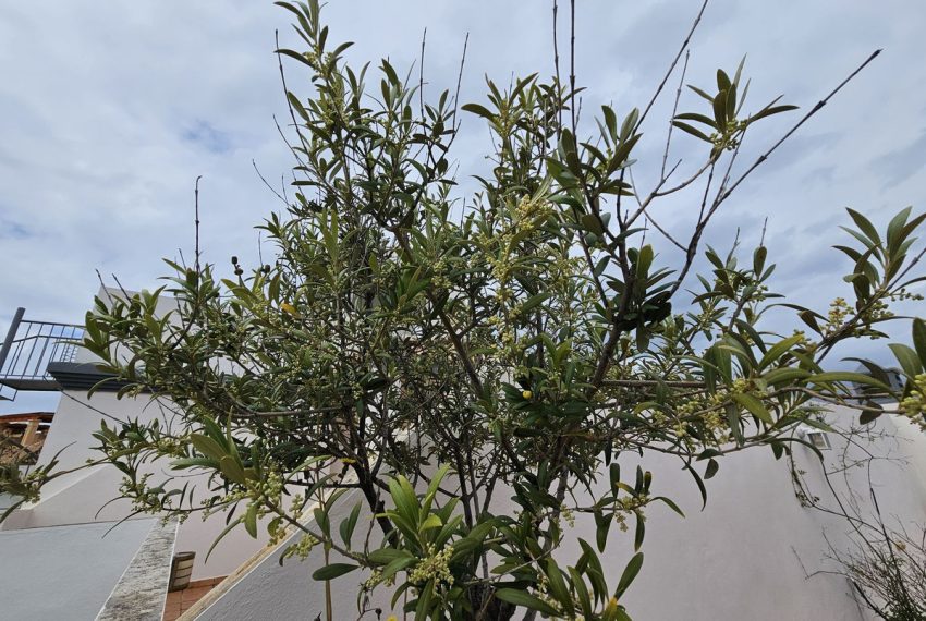 R4994044-Apartment-For-Sale-Estepona-Penthouse-2-Beds-50-Built-18