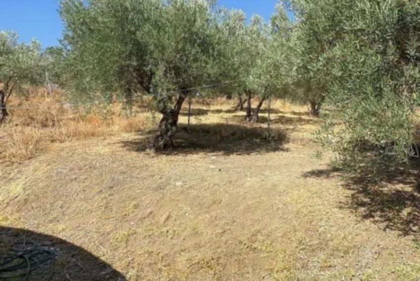 R5002651-Villa-For-Sale-Monda-Finca-3-Beds-197-Built-5