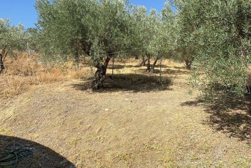 R5002651-Villa-For-Sale-Monda-Finca-3-Beds-197-Built-9