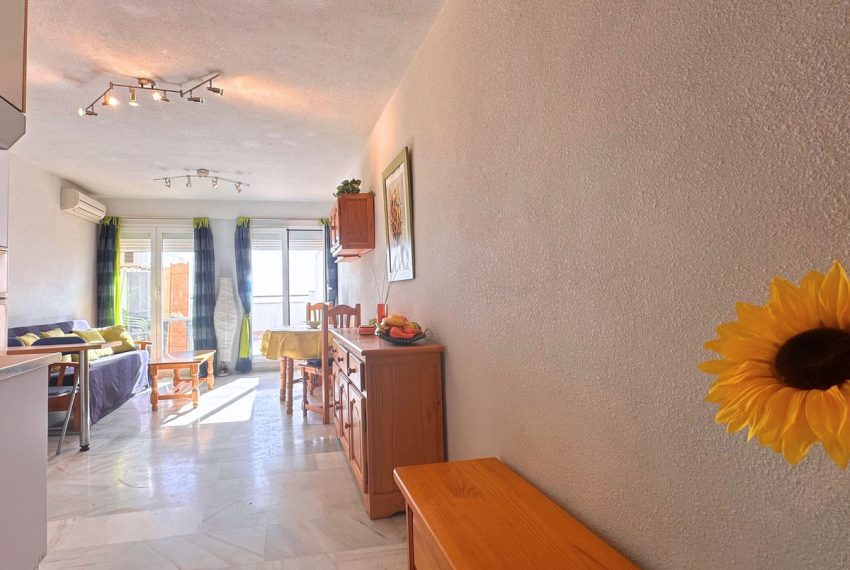 R5013553-Apartment-For-Sale-Estepona-Penthouse-1-Beds-60-Built-3