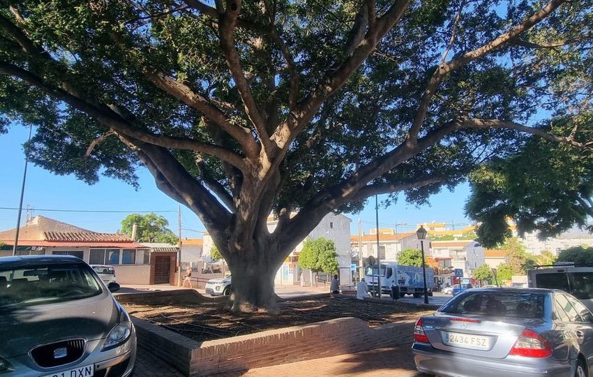 R5014417-Studio-For-Sale-Nueva-Andalucia-Ground-Floor-1-Beds-55-Built-14