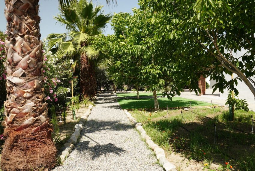 R5016694-Villa-For-Sale-Coin-Finca-6-Beds-295-Built-10