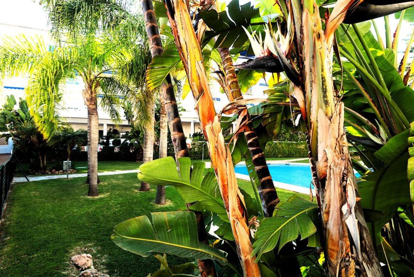 R5022916-Apartment-For-Sale-San-Pedro-de-Alcantara-Middle-Floor-2-Beds-129-Built-1
