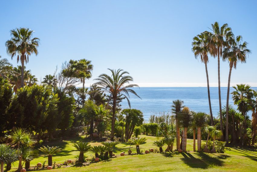R4677691-Villa-For-Sale-New-Golden-Mile-Detached-8-Beds-1013-Built-16