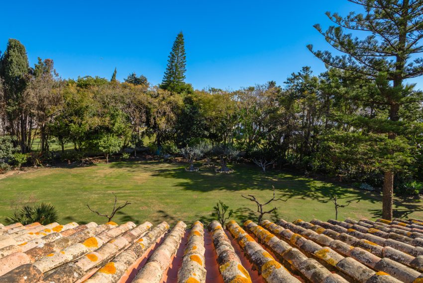 R4677691-Villa-For-Sale-New-Golden-Mile-Detached-8-Beds-1013-Built-18