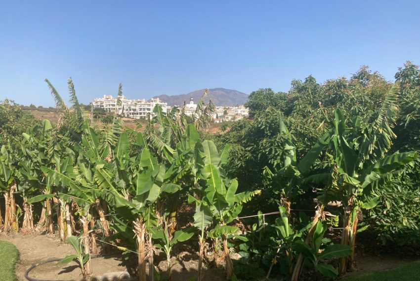 R4893433-Villa-For-Sale-Estepona-Finca-3-Beds-140-Built-19