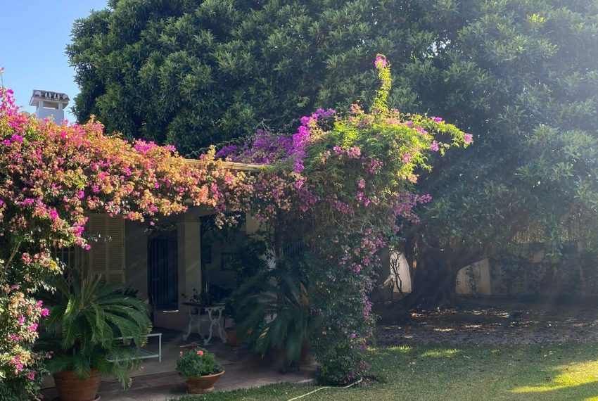 R4909318-Villa-For-Sale-New-Golden-Mile-Detached-4-Beds-200-Built-7