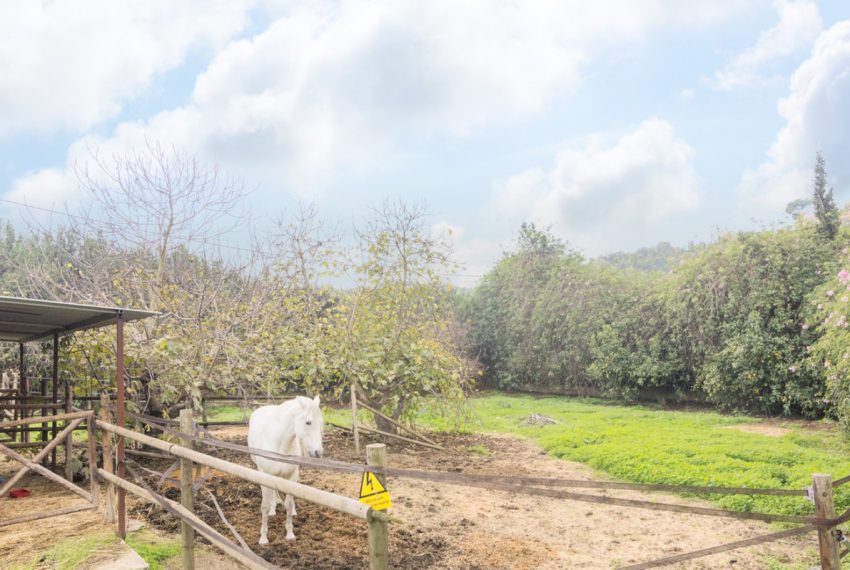 R4930834-Villa-For-Sale-El-Padron-Finca-3-Beds-262-Built-12