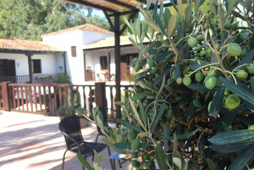 R4953904-Villa-For-Sale-Estepona-Finca-9-Beds-800-Built-17