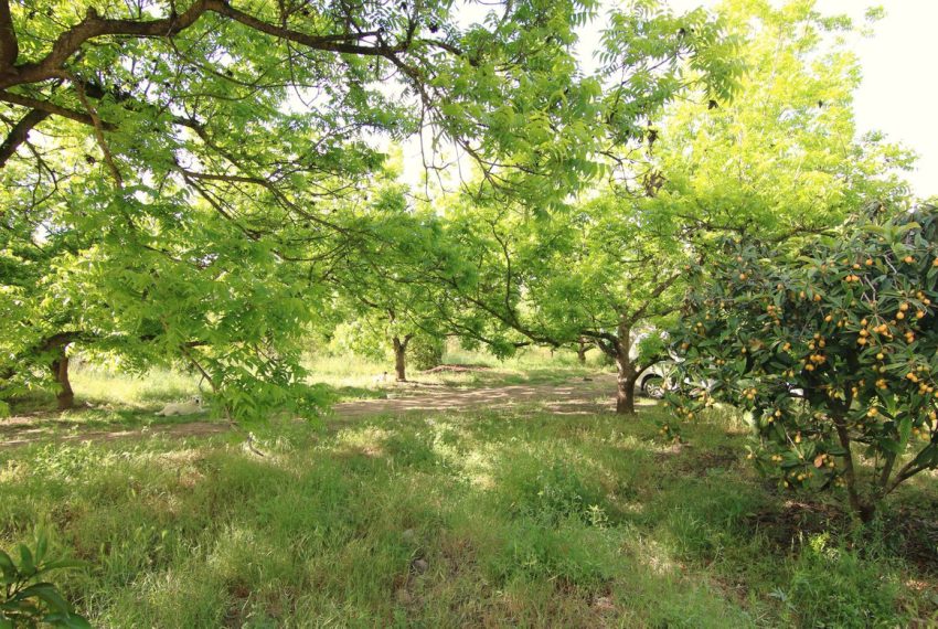 R5039812-Villa-For-Sale-Coin-Finca-3-Beds-92-Built-13