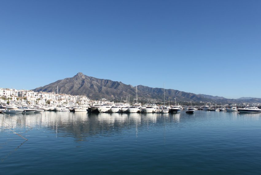 R4687573-Villa-For-Sale-The-Golden-Mile-Detached-6-Beds-842-Built-11