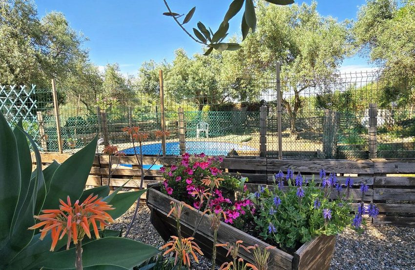R5054965-Villa-For-Sale-Monda-Detached-3-Beds-75-Built-5