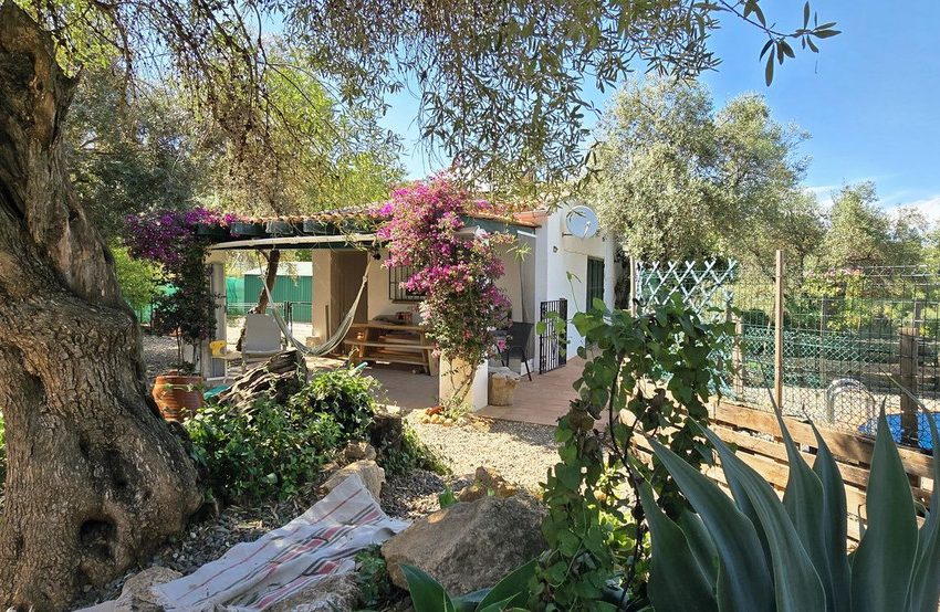 R5054965-Villa-For-Sale-Monda-Detached-3-Beds-75-Built-7