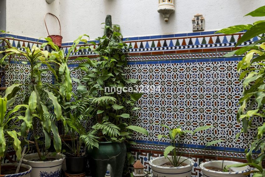 R5057755-Villa-For-Sale-San-Pedro-de-Alcantara-Detached-8-Beds-500-Built-7