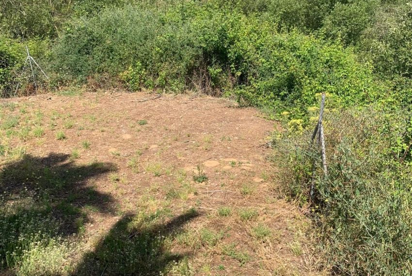 R5064667-Villa-For-Sale-Ojen-Finca-1-Beds-72-Built-19