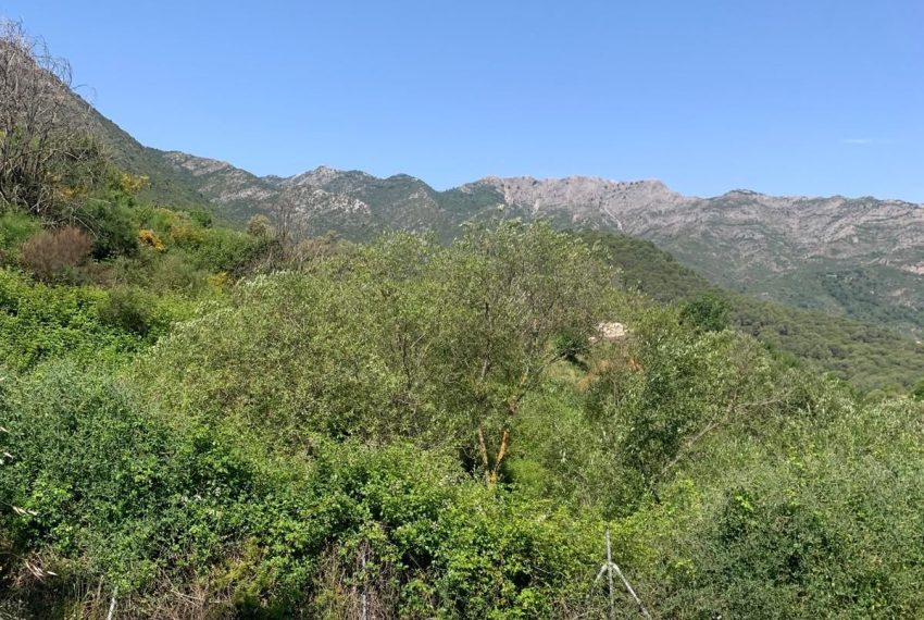 R5064667-Villa-For-Sale-Ojen-Finca-1-Beds-72-Built-2