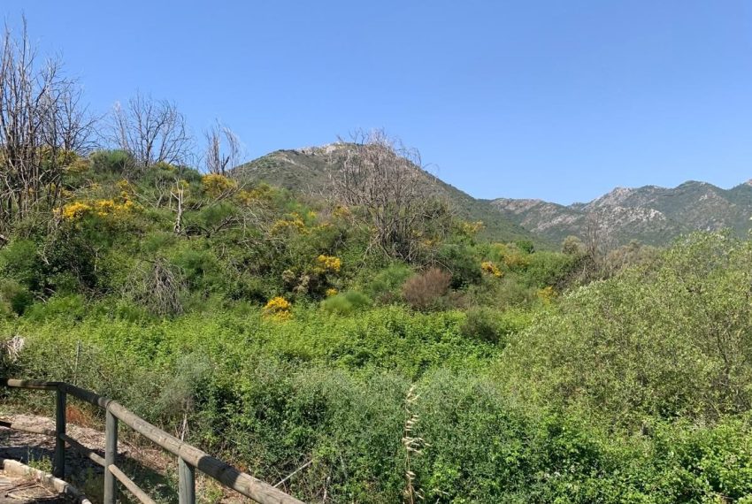 R5064667-Villa-For-Sale-Ojen-Finca-1-Beds-72-Built-8