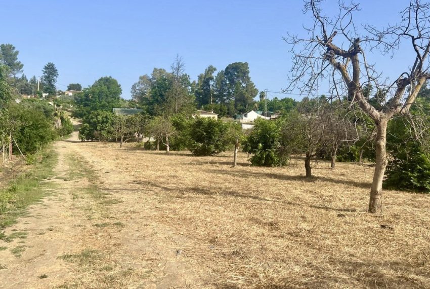 R5077327-Villa-For-Sale-Coin-Finca-1-Beds-222-Built-13