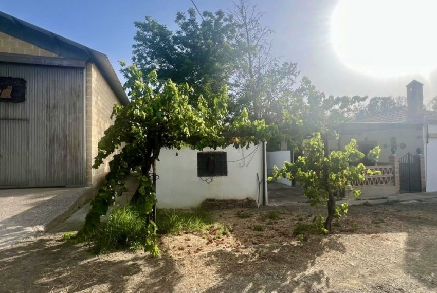 R5077327-Villa-For-Sale-Coin-Finca-1-Beds-222-Built-4