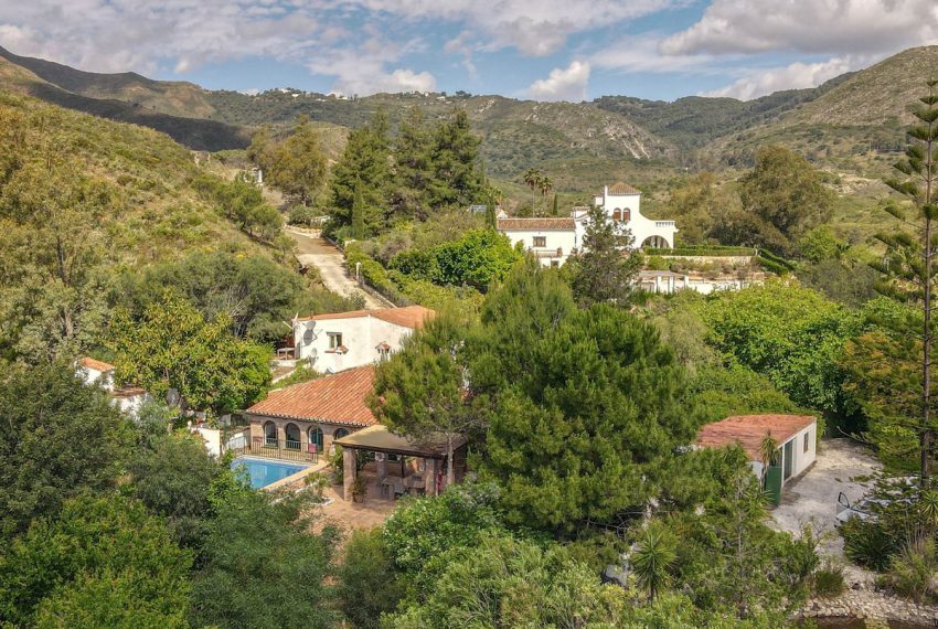 R5038717-Villa-For-Sale-Coin-Detached-7-Beds-366-Built-3
