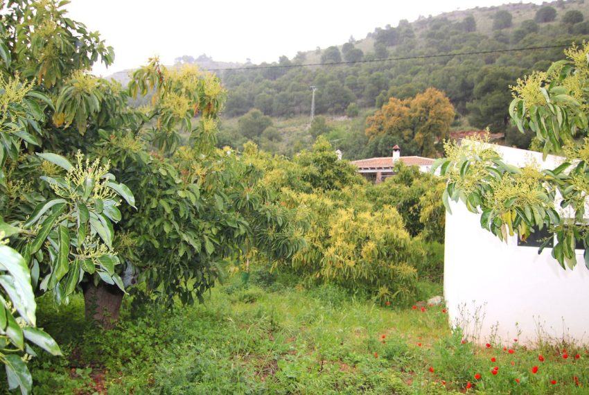 R5078869-Villa-For-Sale-Coin-Finca-3-Beds-85-Built-18