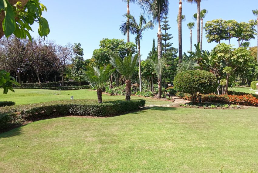 R5104570-Apartment-For-Sale-Nueva-Andalucia-Ground-Floor-3-Beds-167-Built-18